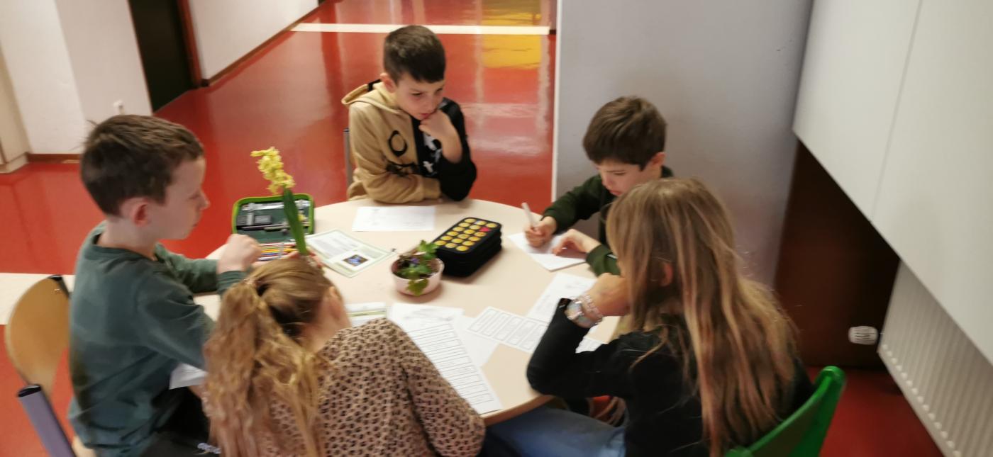 Arbeiten mit Anschauungsmaterial