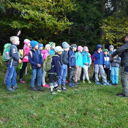Wald 2. Klasse
