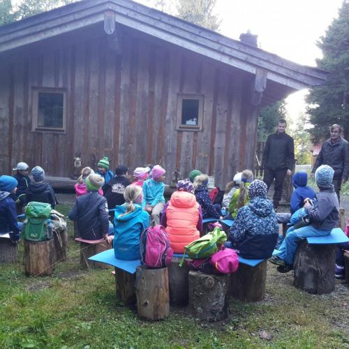 Wald 2. Klasse