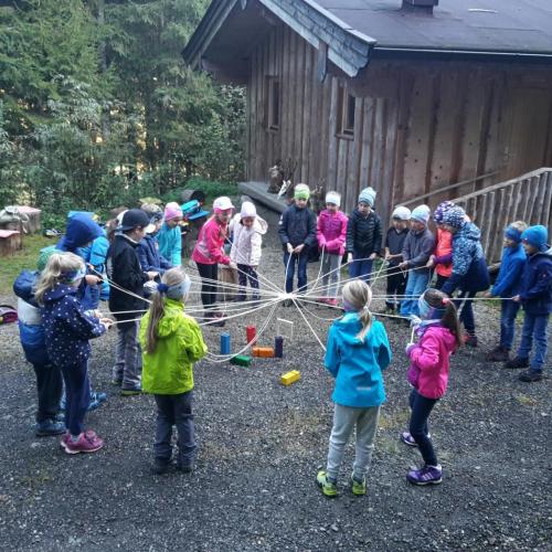 Wald 2. Klasse