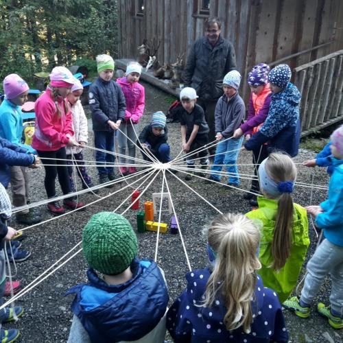 Wald 2. Klasse