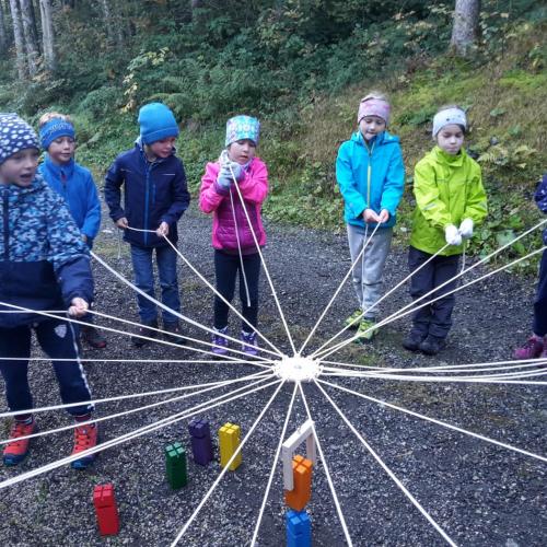 Wald 2. Klasse
