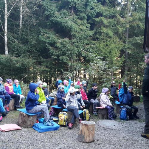 Wald 2. Klasse