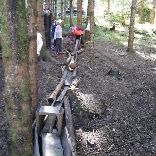 Wald 2. Klasse
