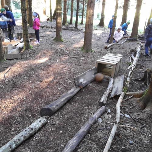 Wald 2. Klasse