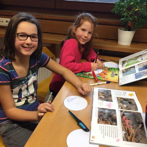 Novemberkativität Bücherei