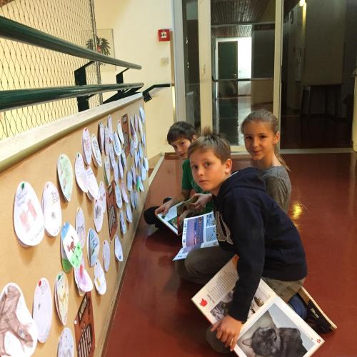 Novemberkativität Bücherei