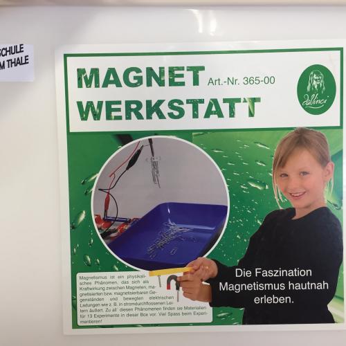 Magnetismus