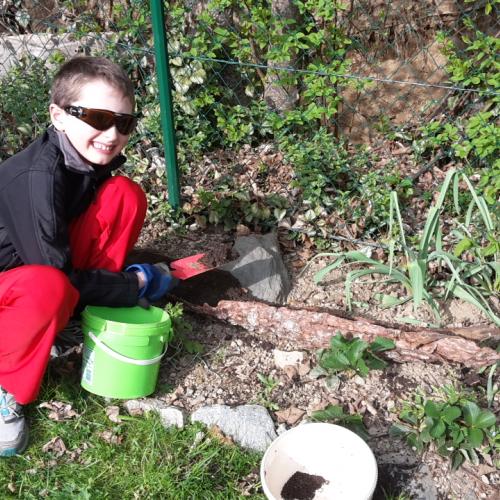 Homeschooling 2. Klasse