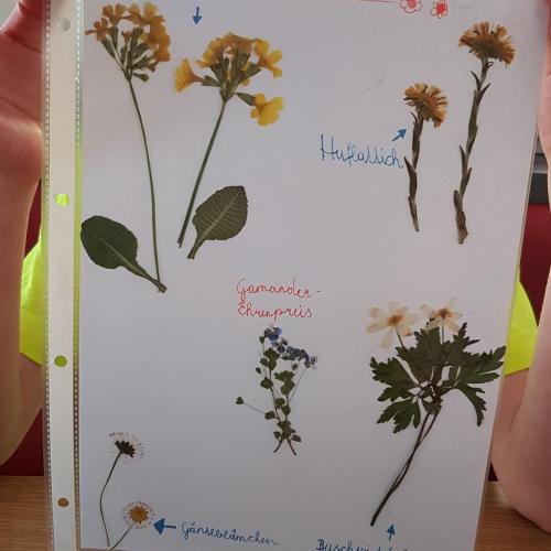 Homeschooling 2. Klasse