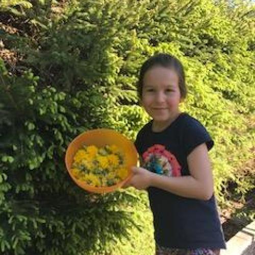Homeschooling 2. Klasse
