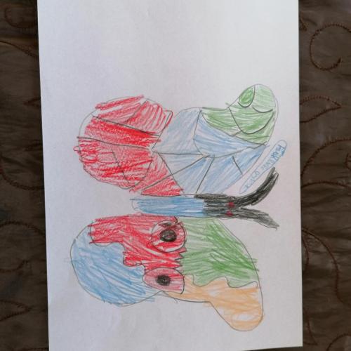 Homeschooling 2. Klasse
