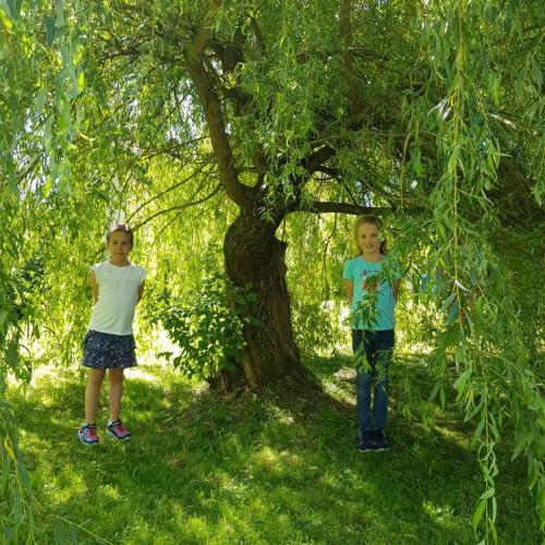 Obst- und Gartenbauverein