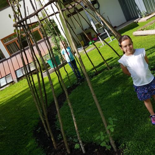 Obst- und Gartenbauverein