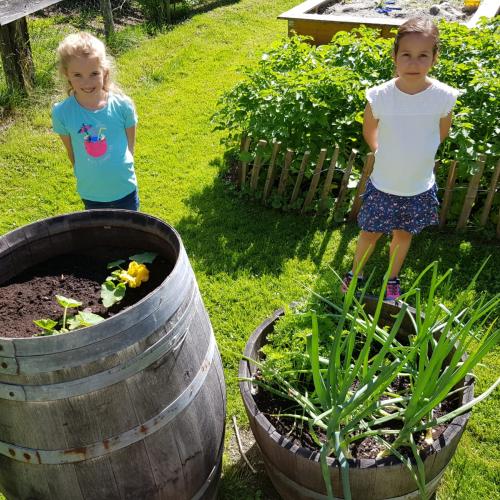 Obst- und Gartenbauverein