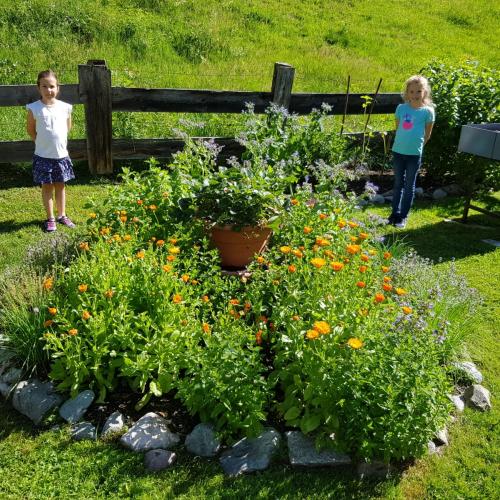 Obst- und Gartenbauverein