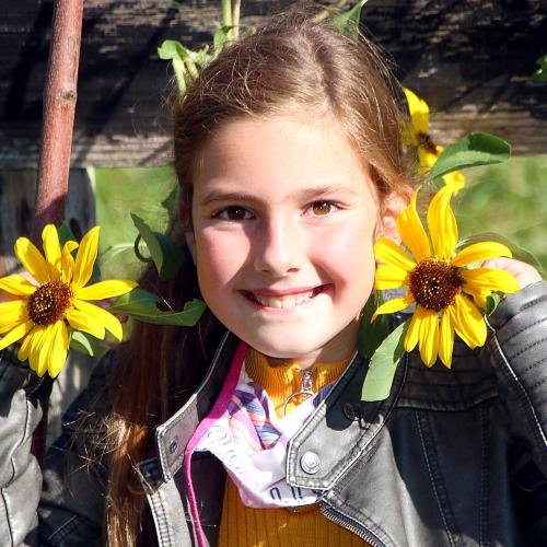 Sonnenblumen