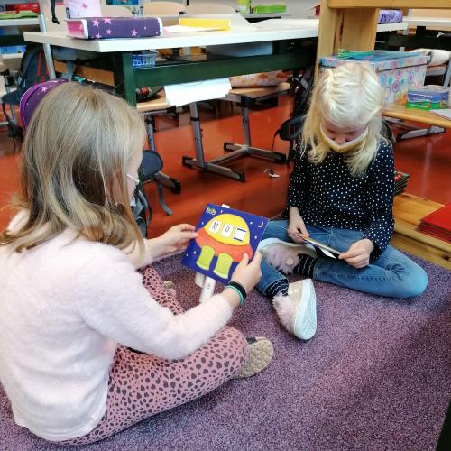 lesen8