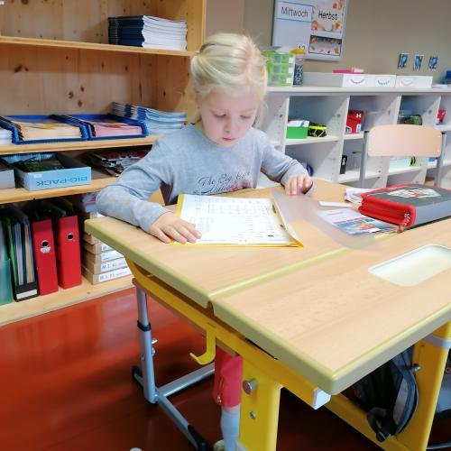 lesen6