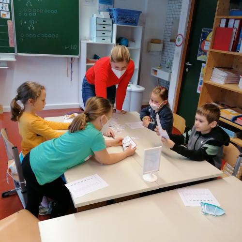 Tierfamilien