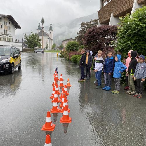Geschätzter Bremsweg 