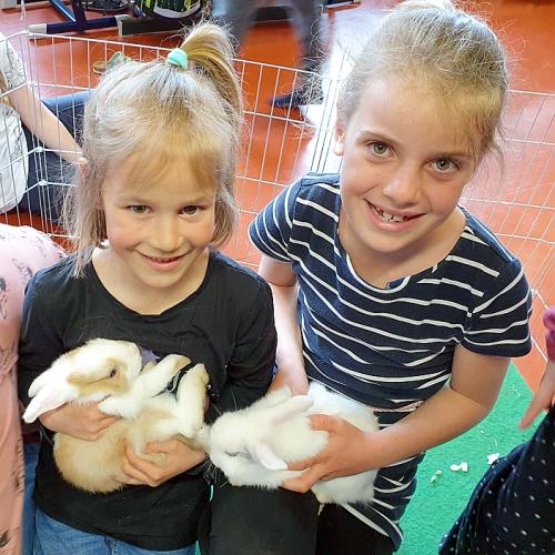 Hasen von Hannah (5)