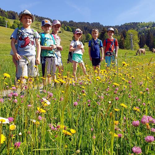 Lehrausgang Bauernhof 10