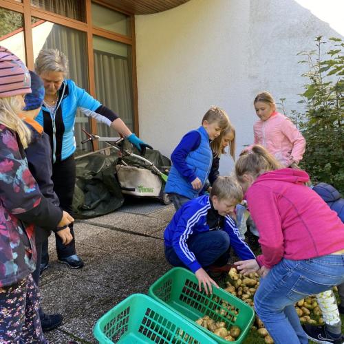 Kartoffeln waschen 