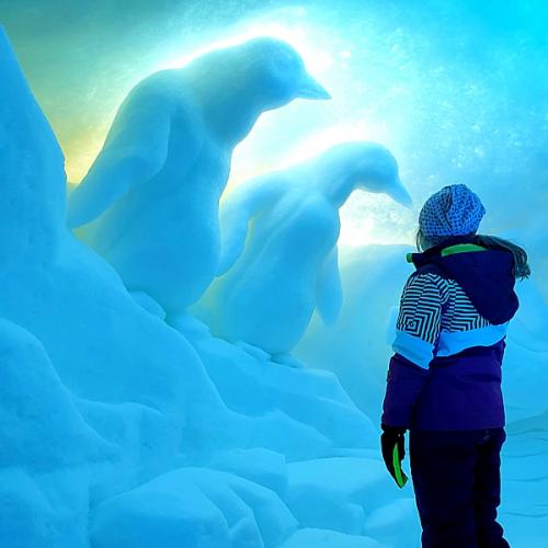 Alpeniglu 6
