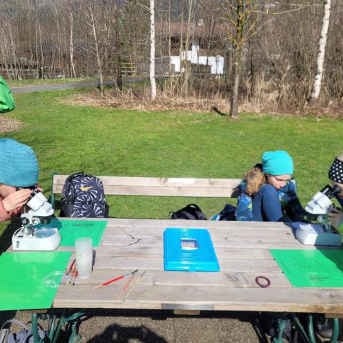 Wasserschule 50