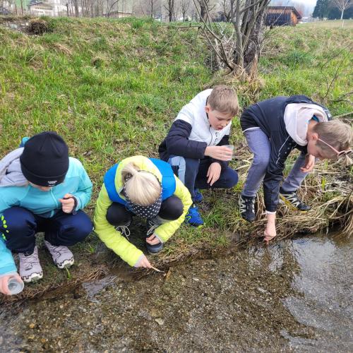 Wasserschule29