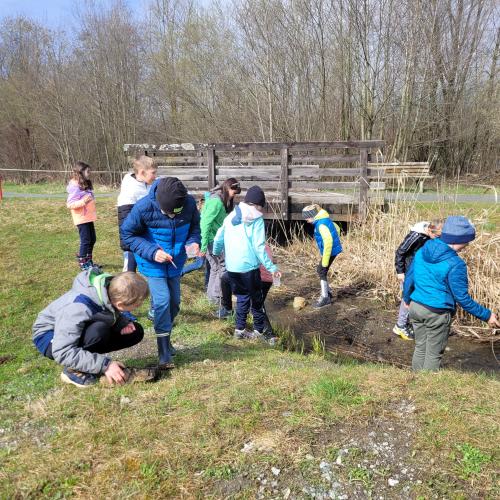 Wasserschule33