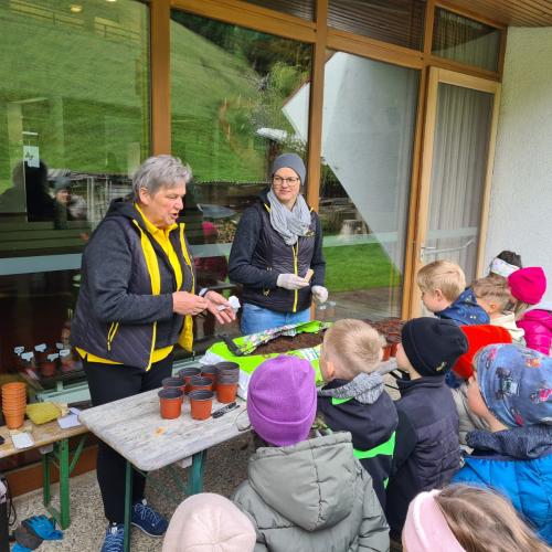 Schulgarten_Naturwettbewerb_Kürbis