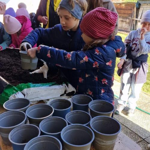 Sonnenblumenwettbewerb 2025