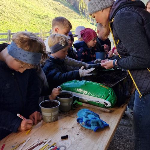 Sonnenblumenwettbewerb 2025