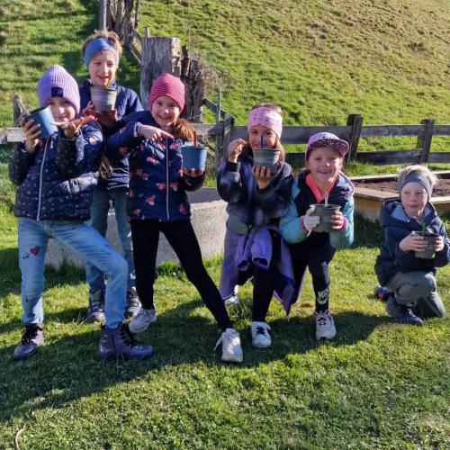 Sonnenblumenwettbewerb 2025