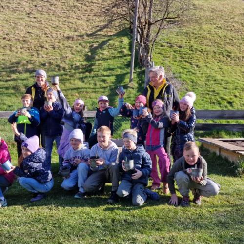 Sonnenblumenwettbewerb 2025