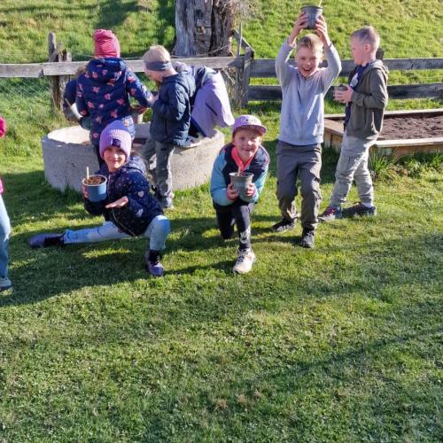 Sonnenblumenwettbewerb 2025