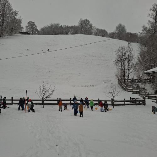 Kinder im Schulgarten