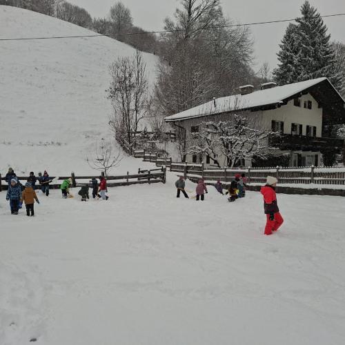 Kinder im Schulgarten