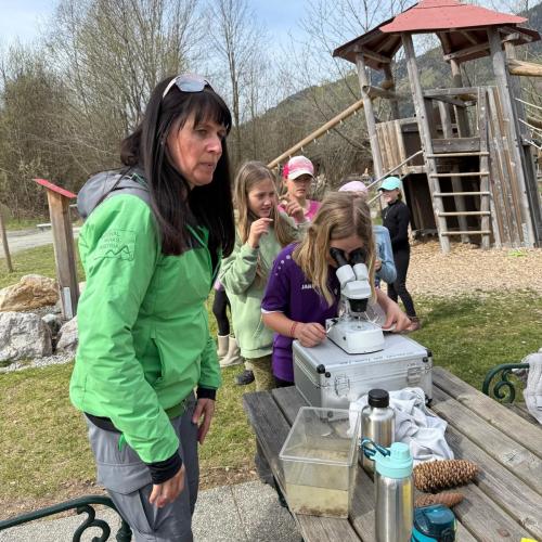 Kinder beim Mikroskop