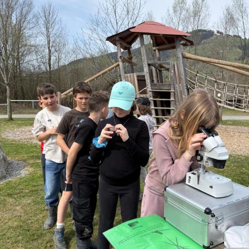 Mädchen am Miroskop