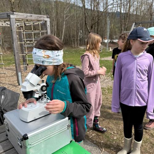 Mädchen am Mikroskop