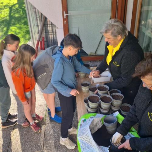 Kinder beim Einsetzen der Samen