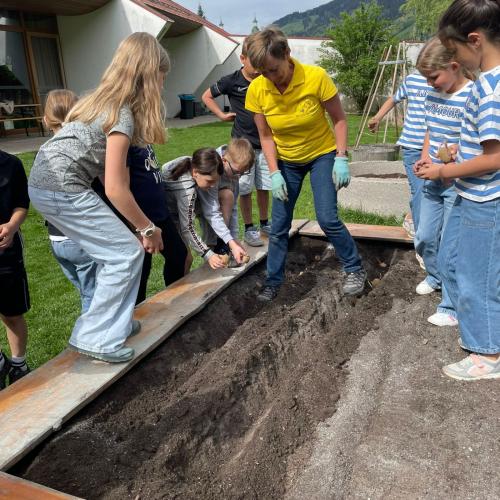 Kinder im Beet beim Arbeiten