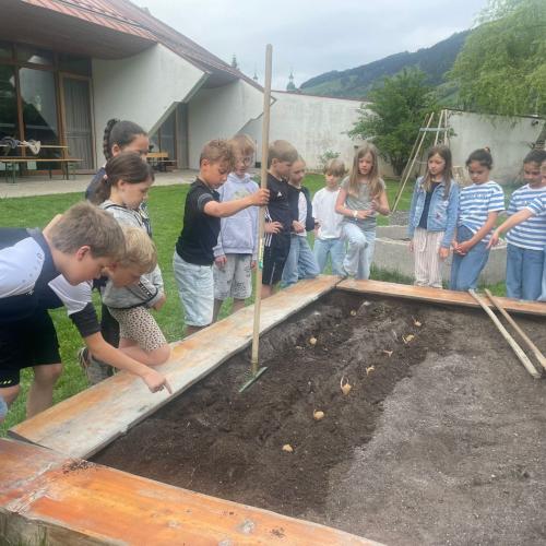 Kinder um das Beet herum