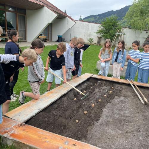 Kinder um das Beet herum