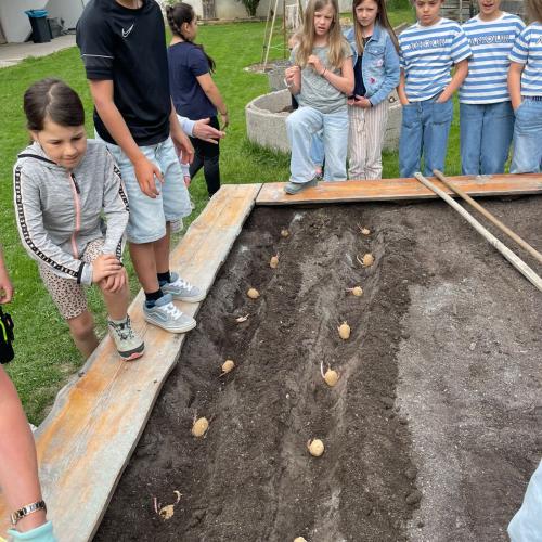 Kinder um das Beet herum