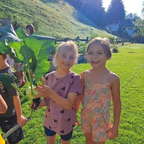 Kinder mit Kohlrabi