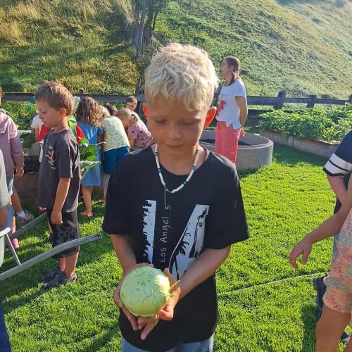 Bub mit Kohlrabi